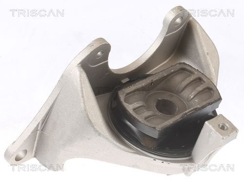 Variklio montavimas TRISCAN 8505 15102