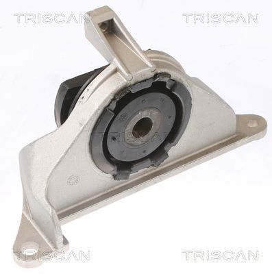 Variklio montavimas TRISCAN 8505 15102
