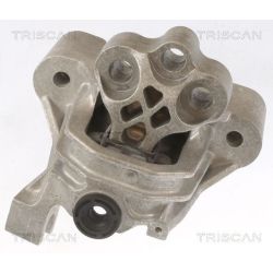 Variklio montavimas TRISCAN 8505 15104