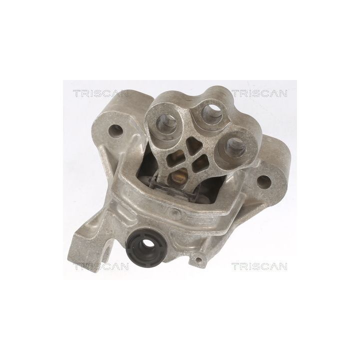 Variklio montavimas TRISCAN 8505 15104