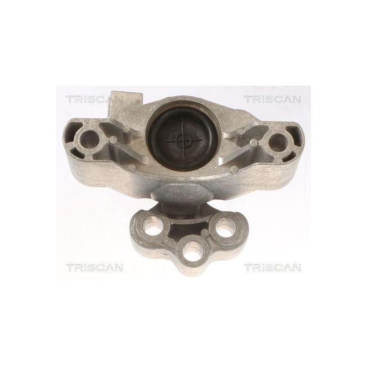 Variklio montavimas TRISCAN 8505 15104