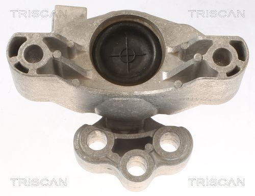 Variklio montavimas TRISCAN 8505 15104