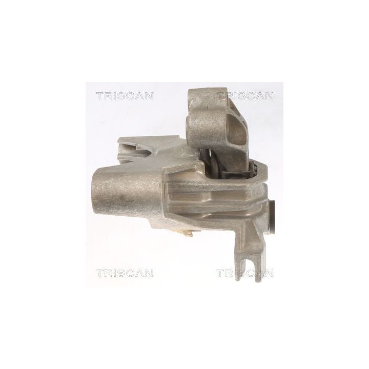 Variklio montavimas TRISCAN 8505 15104