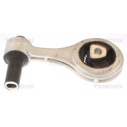 Variklio montavimas TRISCAN 8505 15105