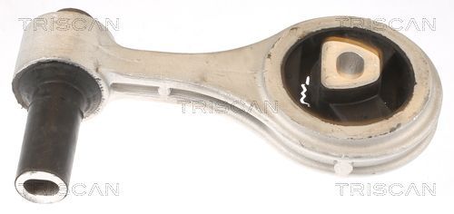 Variklio montavimas TRISCAN 8505 15105