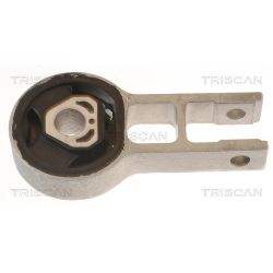 Variklio montavimas TRISCAN 8505 15107