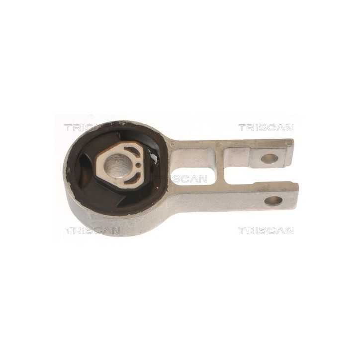 Variklio montavimas TRISCAN 8505 15107
