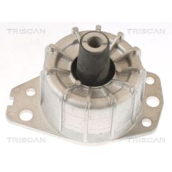Variklio montavimas TRISCAN 8505 15109