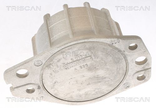 Variklio montavimas TRISCAN 8505 15109