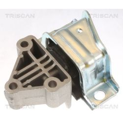 Variklio montavimas TRISCAN 8505 15110