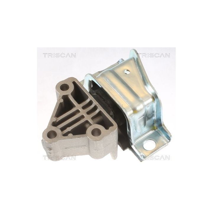Variklio montavimas TRISCAN 8505 15110
