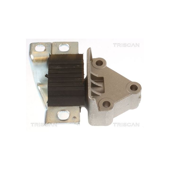 Variklio montavimas TRISCAN 8505 15110