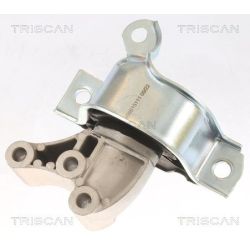 Variklio montavimas TRISCAN 8505 15111