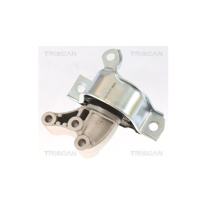 Variklio montavimas TRISCAN 8505 15111
