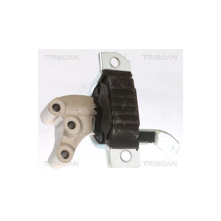 Variklio montavimas TRISCAN 8505 15111