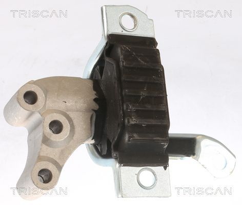 Variklio montavimas TRISCAN 8505 15111