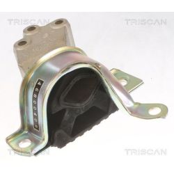 Variklio montavimas TRISCAN 8505 15112