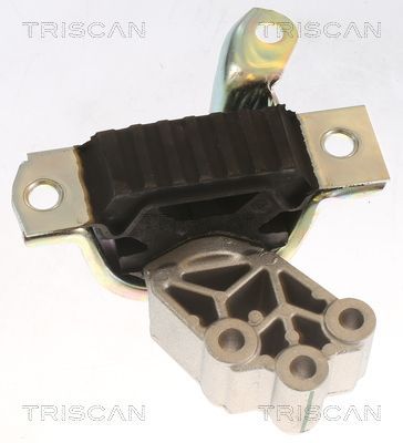 Variklio montavimas TRISCAN 8505 15112