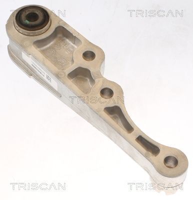 Variklio montavimas TRISCAN 8505 15113