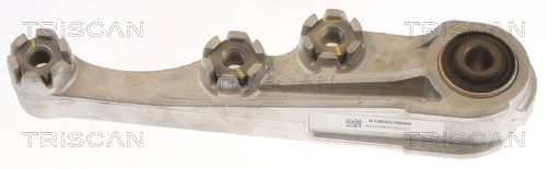 Variklio montavimas TRISCAN 8505 15113