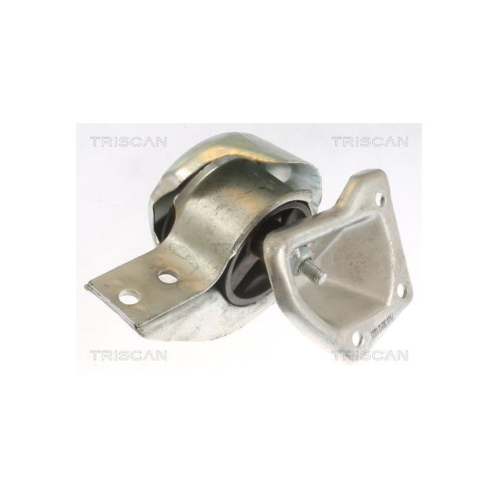 Variklio montavimas TRISCAN 8505 23100