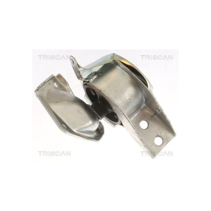 Variklio montavimas TRISCAN 8505 23100