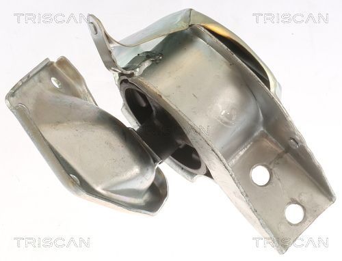 Variklio montavimas TRISCAN 8505 23100