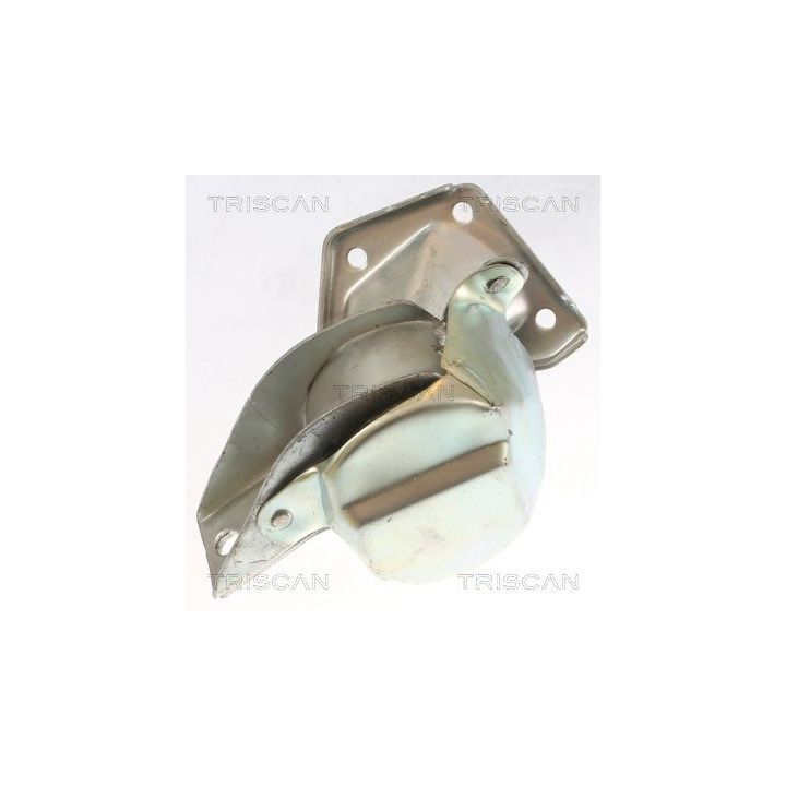 Variklio montavimas TRISCAN 8505 23100