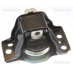 Variklio montavimas TRISCAN 8505 25102