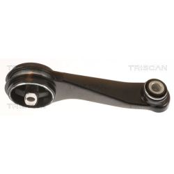 Variklio montavimas TRISCAN 8505 25104