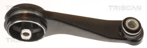 Variklio montavimas TRISCAN 8505 25104