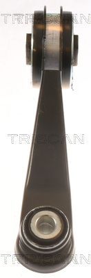 Variklio montavimas TRISCAN 8505 25104