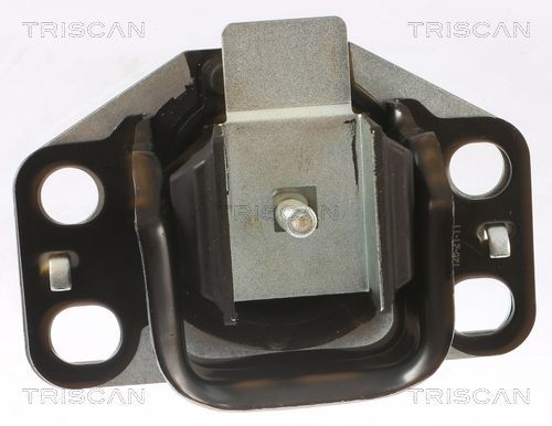 Variklio montavimas TRISCAN 8505 25107