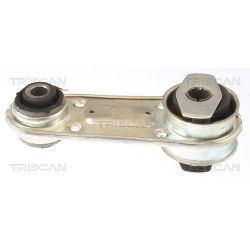 Variklio montavimas TRISCAN 8505 25109