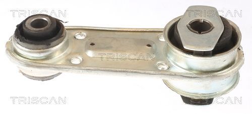 Variklio montavimas TRISCAN 8505 25109