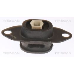 Variklio montavimas TRISCAN 8505 25116