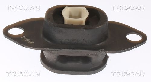 Variklio montavimas TRISCAN 8505 25116