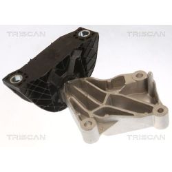 Variklio montavimas TRISCAN 8505 25118