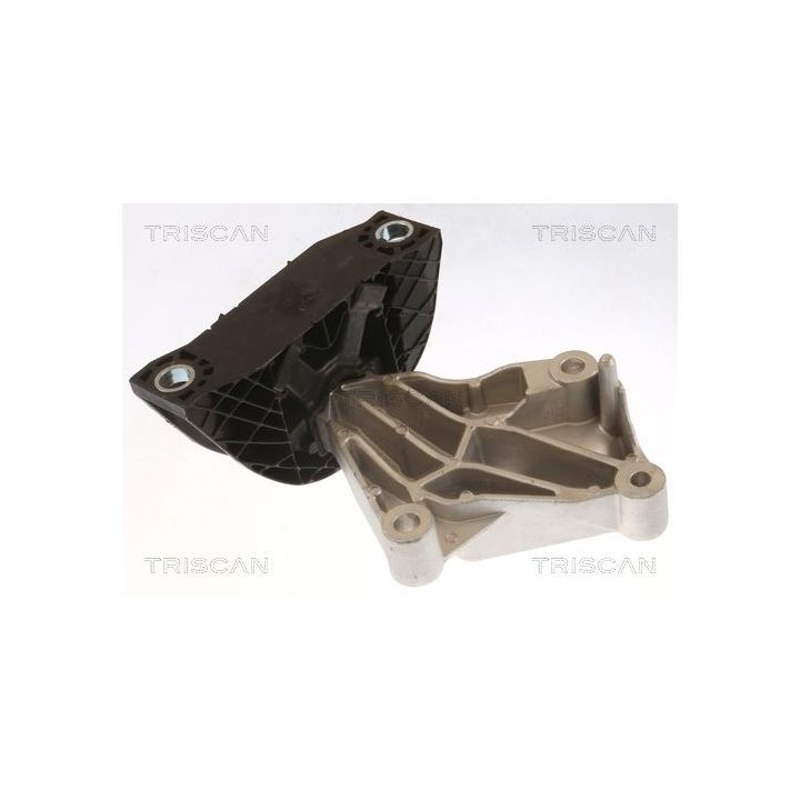 Variklio montavimas TRISCAN 8505 25118