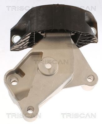 Variklio montavimas TRISCAN 8505 25118