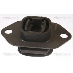 Variklio montavimas TRISCAN 8505 25119