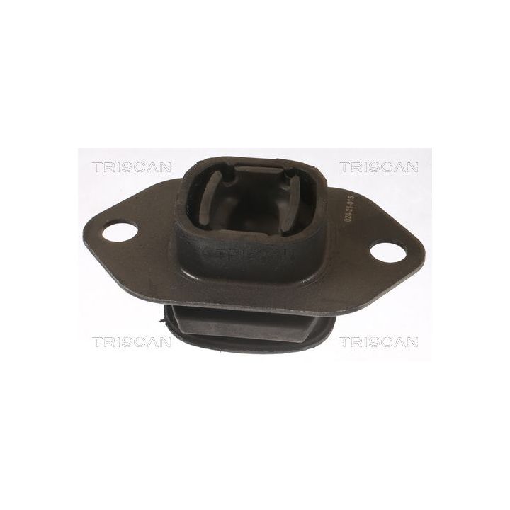 Variklio montavimas TRISCAN 8505 25119