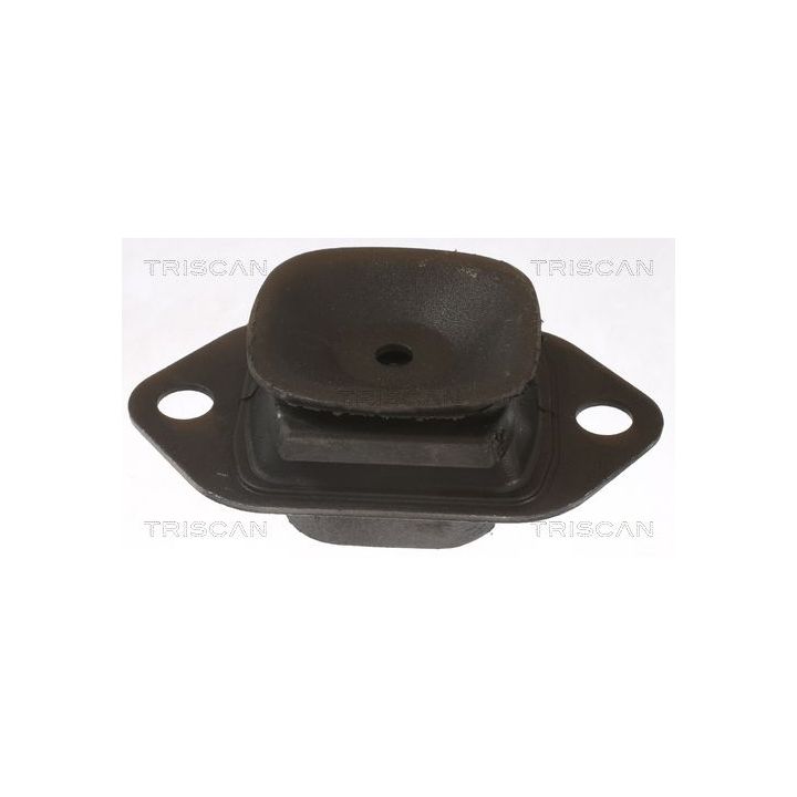 Variklio montavimas TRISCAN 8505 25119