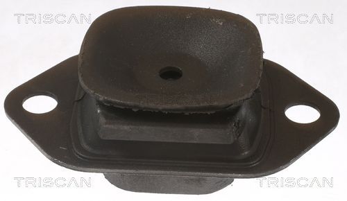 Variklio montavimas TRISCAN 8505 25119