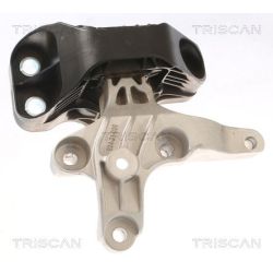 Variklio montavimas TRISCAN 8505 25121