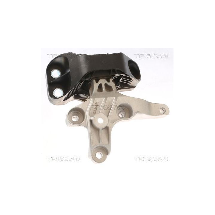 Variklio montavimas TRISCAN 8505 25121