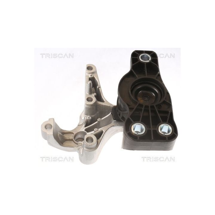 Variklio montavimas TRISCAN 8505 25121