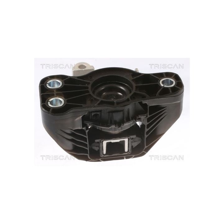 Variklio montavimas TRISCAN 8505 25121