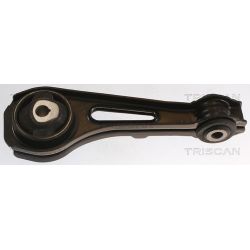 Variklio montavimas TRISCAN 8505 25122