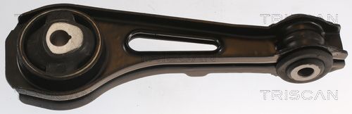 Variklio montavimas TRISCAN 8505 25122